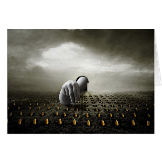 Tuliptjuv 2013 hälsningskort (Framsidan Horizontal)