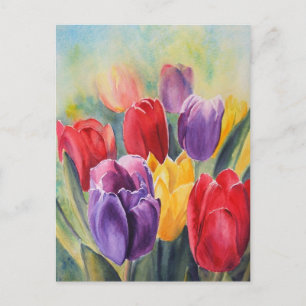 Tuliska regnbåge vykort