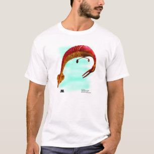 Tully monster tröja