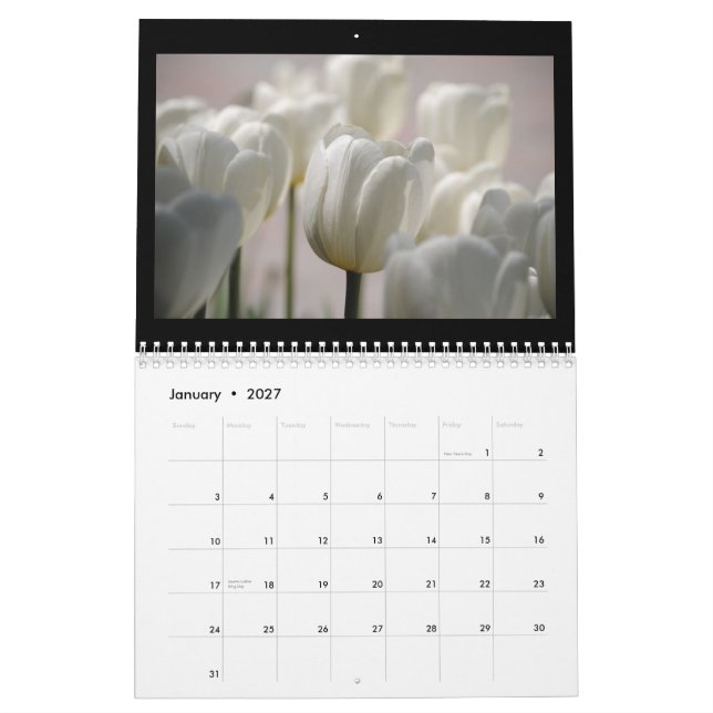 Tulpan 2013 kalender (Jan 2027)