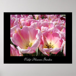 Tulpan Blomster Trädgård konsttryck RÖDA Tulpaner Poster