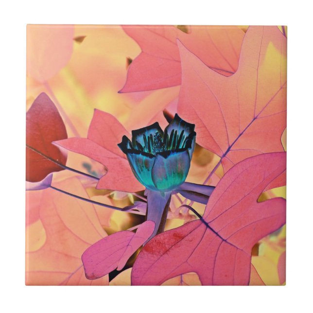 Tulpan för Poplarträd Kakelplatta (Framsidan)