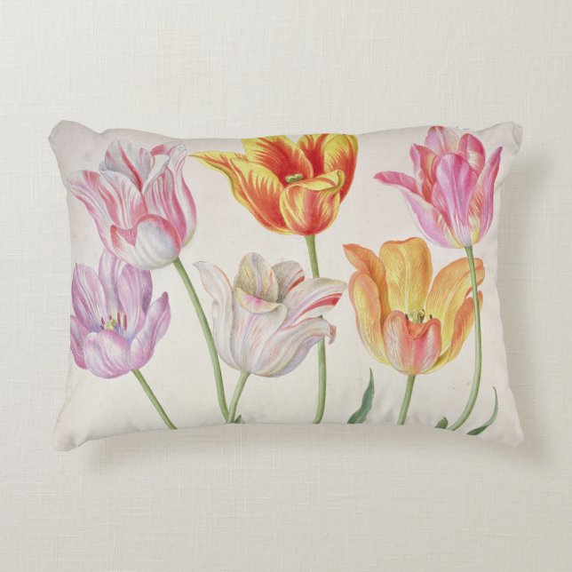 Tulpan från "den Nassau florilegiumen" (w/c på Prydnadskudde (Framsidan)