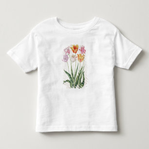 Tulpan från "den Nassau florilegiumen" (w/c på T Shirt