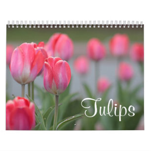Tulpan Kalender