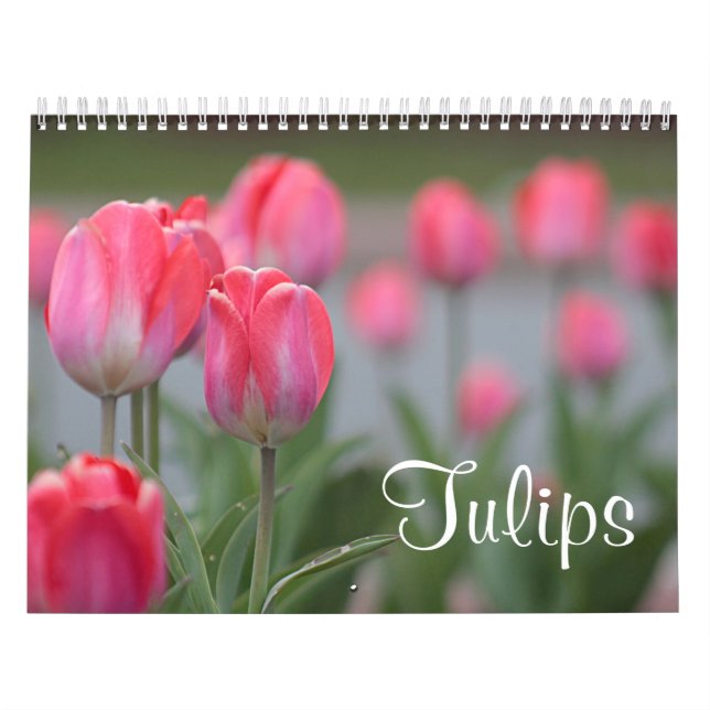 Tulpan Kalender (Omslag)