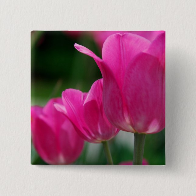 Tulpan knäppas knapp (Framsida)