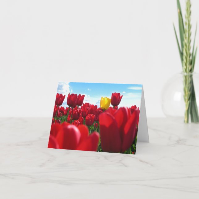 Tulpan Kort (Framsida)