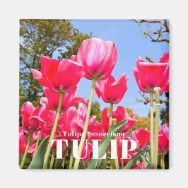 Tulpan Magnet