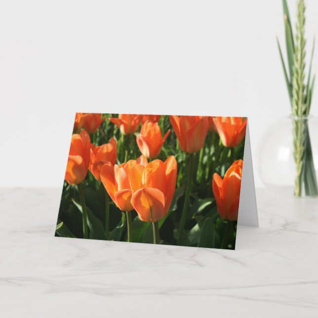 Tulpan NoteCard Kort (Framsida)
