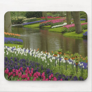Tulpan- och hyacintträdgård, Keukenhof Gardens, 2 Musmatta