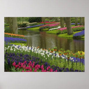 Tulpan- och hyacintträdgård, Keukenhof Gardens, 2 Poster