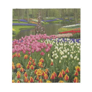 Tulpan- och hyacintträdgård, Keukenhof Gardens, Anteckningsblock