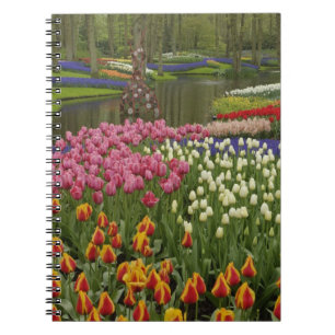 Tulpan- och hyacintträdgård, Keukenhof Gardens, Anteckningsbok Med Spiral