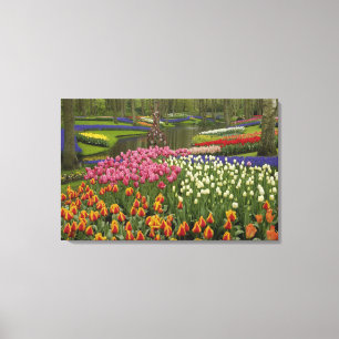 Tulpan- och hyacintträdgård, Keukenhof Gardens, Canvastryck