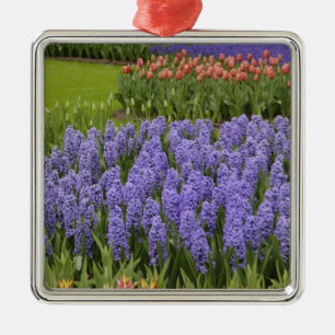 Tulpan- och hyacintträdgård, Keukenhof Gardens, Julgransprydnad Metall