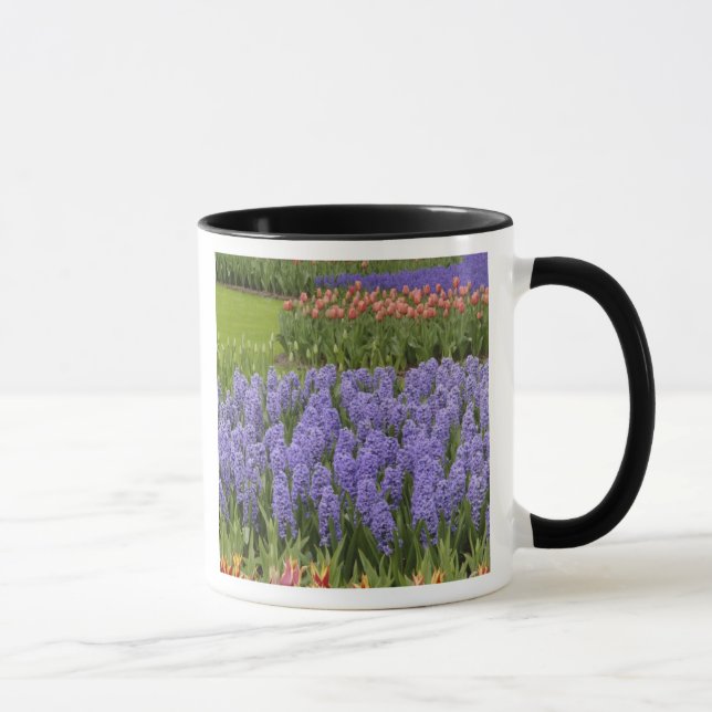 Tulpan- och hyacintträdgård, Keukenhof Gardens, Mugg (Höger)
