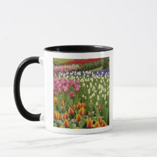 Tulpan- och hyacintträdgård, Keukenhof Gardens, Mugg