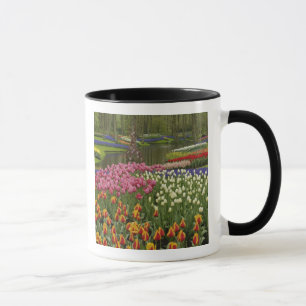 Tulpan- och hyacintträdgård, Keukenhof Gardens, Mugg