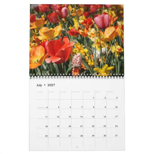 Tulpan och Windmills Kalender (Jul 2027)