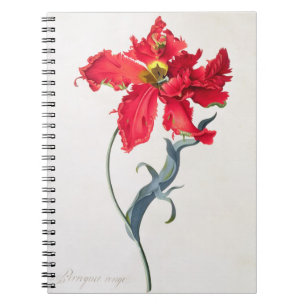 Tulpan: Perroquet Rouge Anteckningsbok