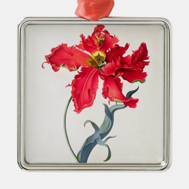 Tulpan: Perroquet Rouge Julgransprydnad Metall (Framsidan)