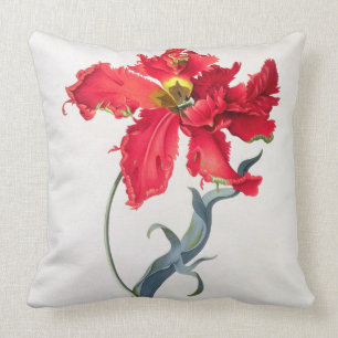 Tulpan: Perroquet Rouge Kudde