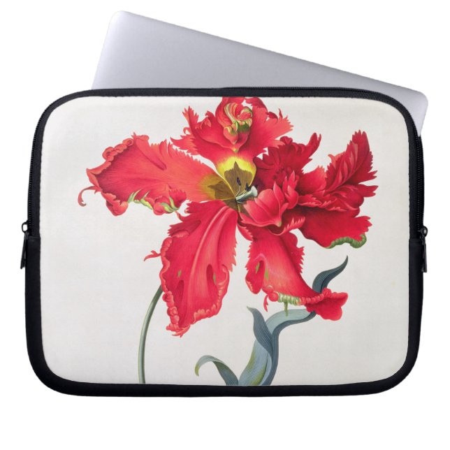 Tulpan: Perroquet Rouge Laptop Sleeve (Framsidan)