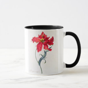 Tulpan: Perroquet Rouge Mugg