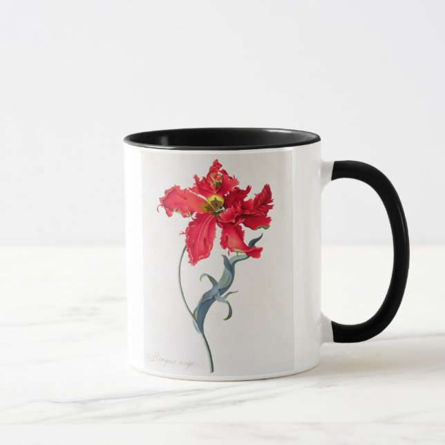 Tulpan: Perroquet Rouge Mugg (Höger)