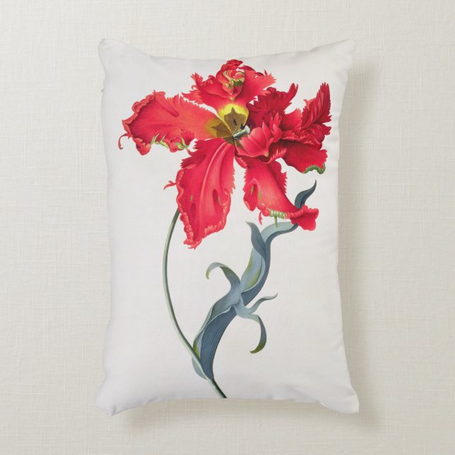 Tulpan: Perroquet Rouge Prydnadskudde (Framsidan(Vertikal))