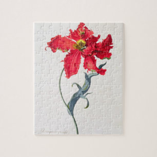 Tulpan: Perroquet Rouge Pussel