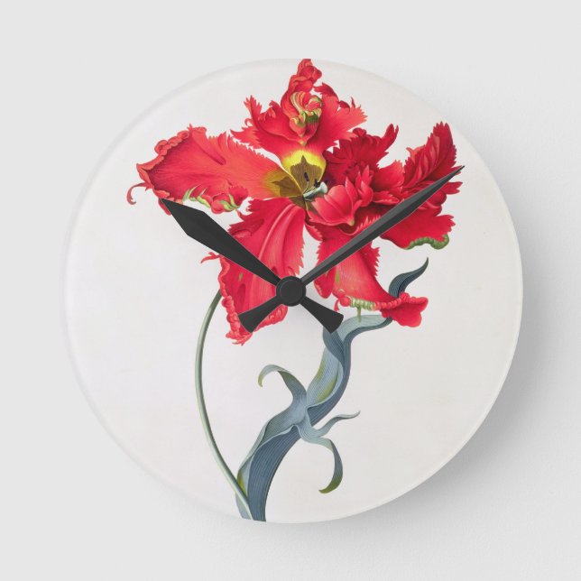 Tulpan: Perroquet Rouge Rund Klocka (Framsida)