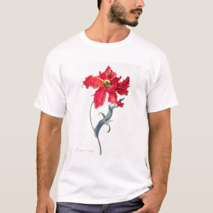 Tulpan: Perroquet Rouge Tee Shirt