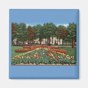 Tulpan Time Holland, Michigan Magnet
