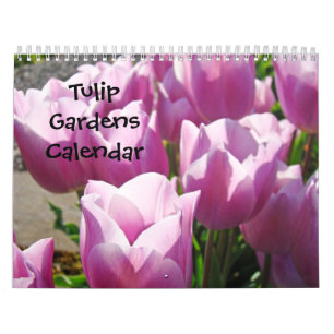 Tulpan Trädgårdar Kalender Natur Blommor Färgrik