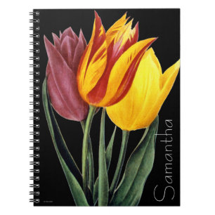 Tulpan (Tulipa Gesneriana) Anteckningsbok Med Spiral
