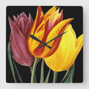 Tulpan (Tulipa Gesneriana) Fyrkantig Klocka