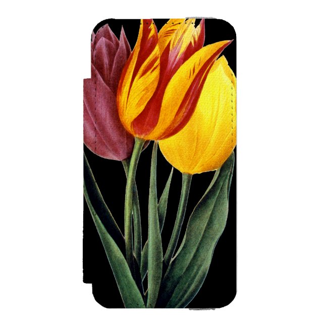 Tulpan (Tulipa Gesneriana) Incipio iPhone Wallet Skal (Folio Framsidan)
