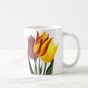 Tulpan (Tulipa Gesneriana) Kaffemugg