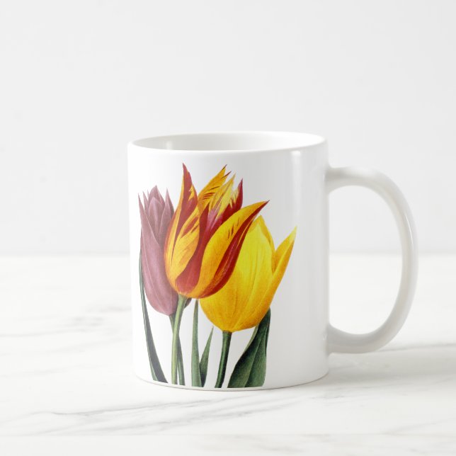 Tulpan (Tulipa Gesneriana) Kaffemugg (Höger)