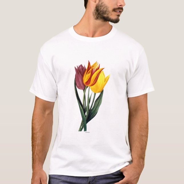 Tulpan (Tulipa Gesneriana) T-shirt (Framsida)