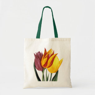 Tulpan (Tulipa Gesneriana) Tygkasse