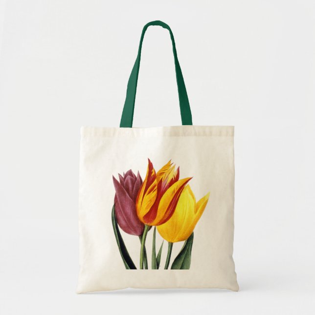 Tulpan (Tulipa Gesneriana) Tygkasse (Framsidan)