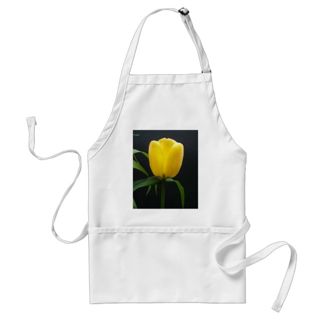 Tulpanblomma med en gult förkläde (Framsidan)