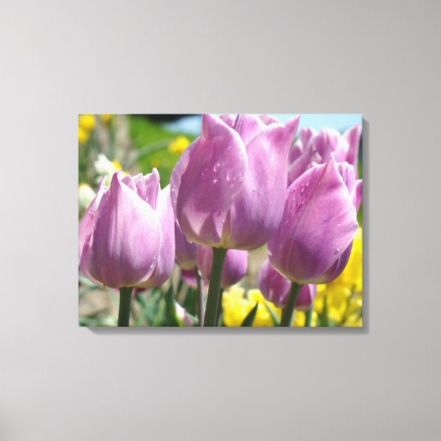 Tulpanblommor Blomfotografering Canvastryck (Framsida)