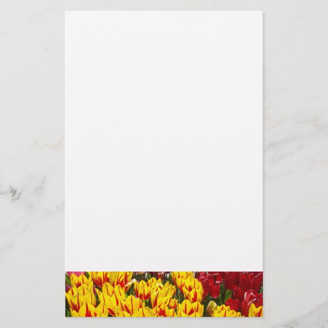 Tulpanblommor brevpapper vår gula tulpaner (Framsida)