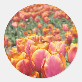 Tulpanblommor klistermärken Kuvert förseglingar Vå