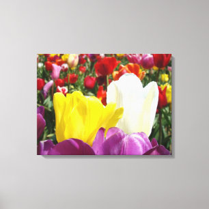 Tulpanblommor panel canvas konsttryck Tulpaner