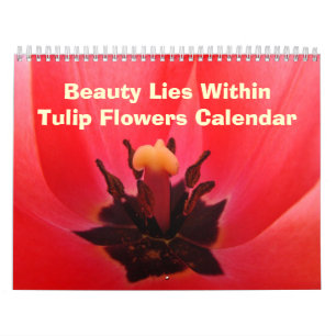 Tulpanblommor Skönhet Ligger Inom Kalender